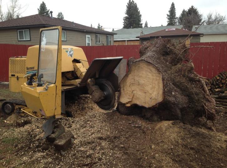 Image for A-1 Stump Removal with ID of: 1471978