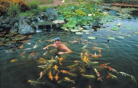 Image for Pond construction with ID of: 1473559