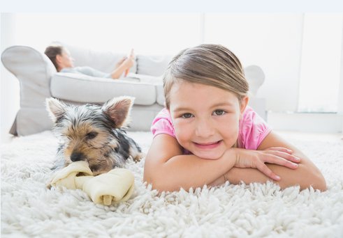 Image for Sedona Clean Carpets with ID of: 1474773