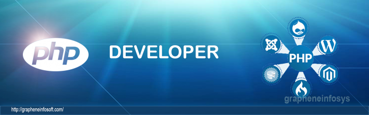 Image for Hire Dedicated PHP Developer in USA with ID of: 1475539