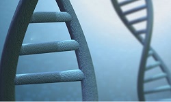 Image for Test Me DNA with ID of: 1476292