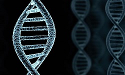 Image for Test Me DNA with ID of: 1476293