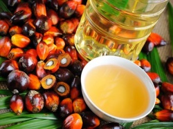 Image for Palm Kernel Oil and Coconut Oil Based Natural Fatty Acids Market: By Application Segment Analysis, 2015 – 2021 with ID of: 1476405