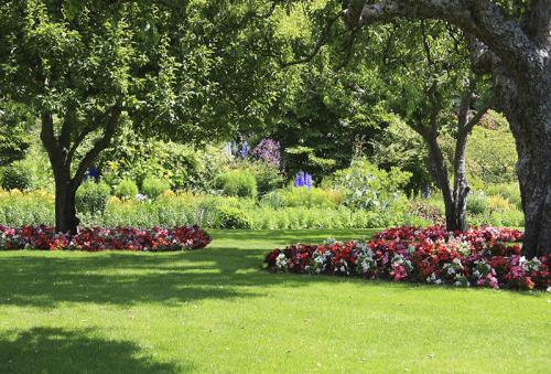 Image for Sergios Lawn Services with ID of: 1477476