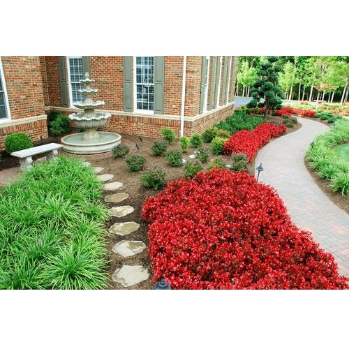 Image for Elowsky Lawn Services with ID of: 1477588