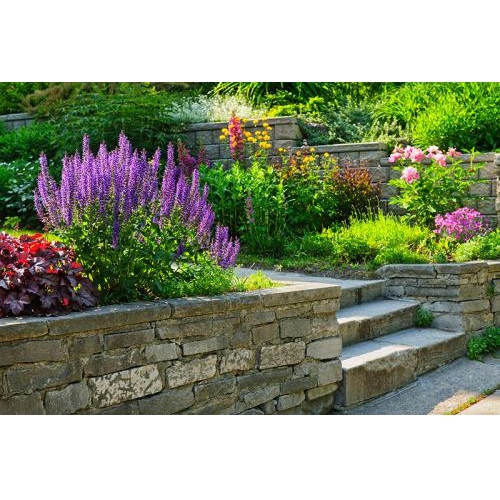 Image for Elowsky Lawn Services with ID of: 1477591