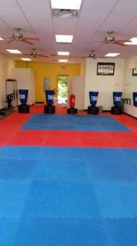 Image for Master Pius Martial Arts with ID of: 1481403