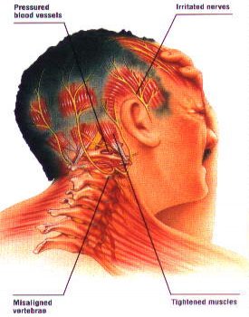 Image for Better Health Solutions LLC with ID of: 1481780