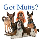 Image for Dog DNA Testing - DNABreedID.com with ID of: 148344