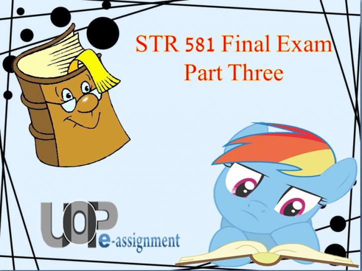 Image for STR Capstone 581 Final Exam Part 3 @uopeassignments.com with ID of: 1483795