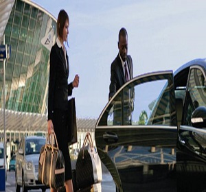Image for Perugini Transportation Services with ID of: 1486230
