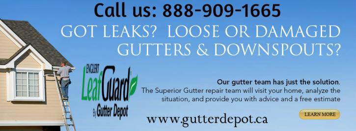 Image for Gutter Depot Inc. with ID of: 1487325