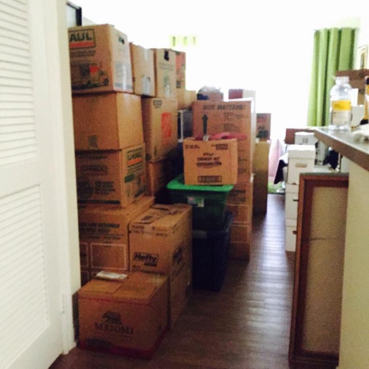 Image for Ant Moving Company with ID of: 1487806