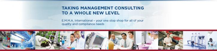 Image for E.M.M.A International Consulting Group, Inc. with ID of: 1487820