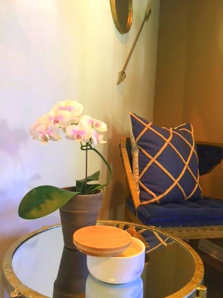 Image for Van Hala Dental Group with ID of: 1488140