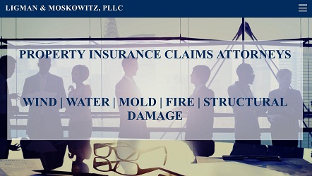 Image for Ligman & Moskowitz, PLLC with ID of: 1488870