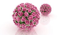 Image for Global HPV Testing & Pap Test Market 2016 Production, Price, Revenue, Cost, Gross Margin and Analysis by 2022 with ID of: 1489085