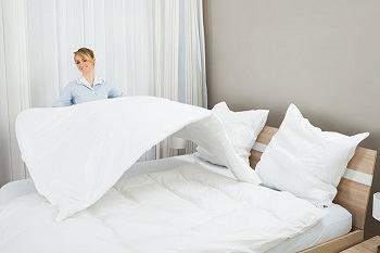 Image for M&T Cleaning Services with ID of: 1489337