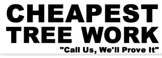 Image for Cheapest Tree Work, LLC with ID of: 1489879