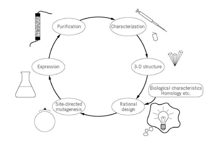 Image for Protein Engineering Market Outlook, Demand and Development, Key Players, Industry Growth Analysis and Forecast to 2024 with ID of: 1490035