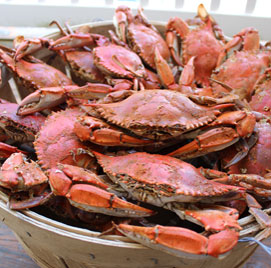 Image for Crab Dynasty Seafood with ID of: 1490062