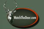 Image for Id Enterprises, Inc with ID of: 1490870