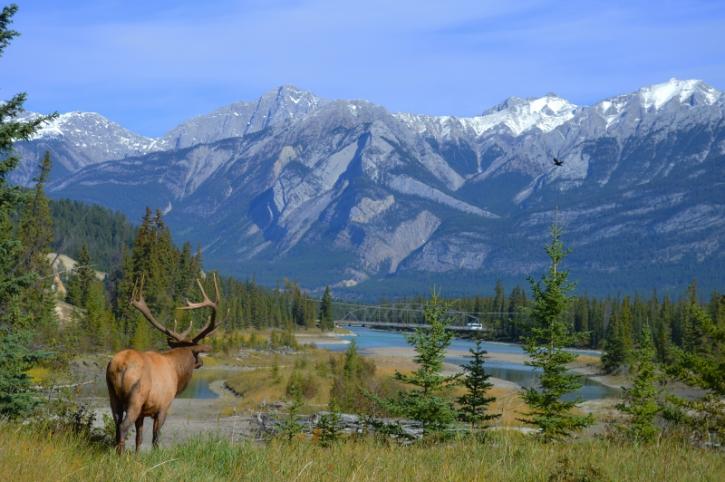 Image for Oregon Trophy Ranch and Recreation with ID of: 1491228