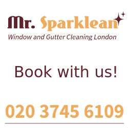 Image for Mr. Sparklean with ID of: 1494085