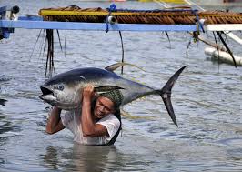 Image for Fish Farming with ID of: 1494144