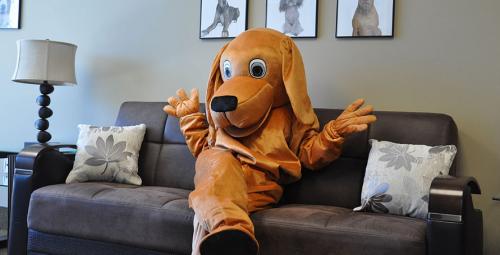 Image for Healthy Hound Playground with ID of: 1494517