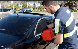 Image for Dolphins Auto Towing with ID of: 1495356
