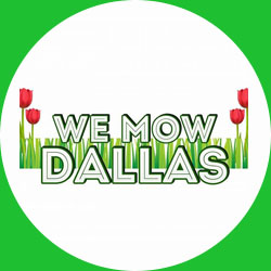 Image for We Mow Dallas with ID of: 1495942