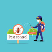 Image for Pest Control Fresno with ID of: 1496472