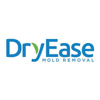 Image for Dry Ease Mold Removal NYC with ID of: 1497029