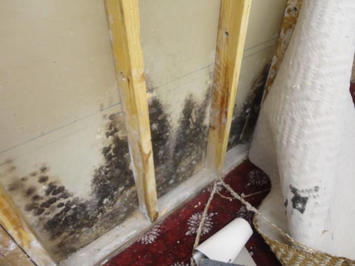 Image for Dry Ease Mold Removal NYC with ID of: 1497031