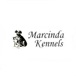 Image for Marcinda Kennels with ID of: 1499228