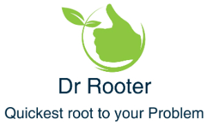 Image for Dr Rooter with ID of: 1499527