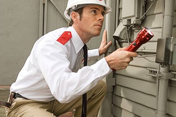 Image for Proforce Pest Control with ID of: 1500679