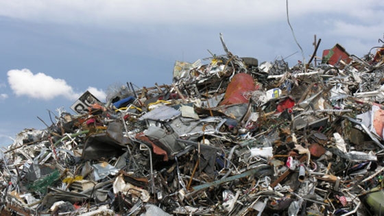 Image for Pacific Junk Removal with ID of: 1500883