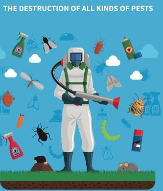 Image for Reno Pest Control Services with ID of: 1501387
