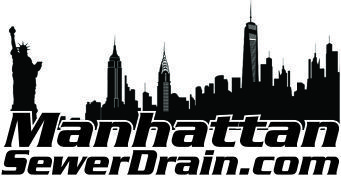 Image for Manhattan Sewer Drain with ID of: 1502661
