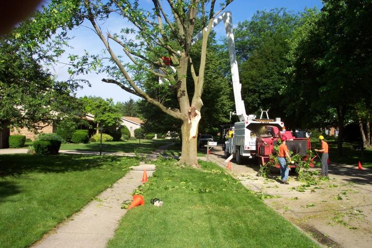 Image for Owens Brothers Tree Service with ID of: 1502930