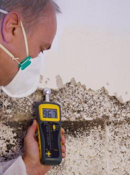 Image for My Mold Removal NYC with ID of: 1502977