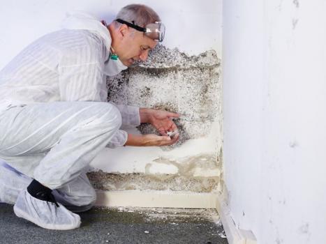 Image for My Mold Removal NYC with ID of: 1502978