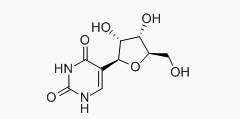 Image for BETA-pseudouridine with ID of: 1504693
