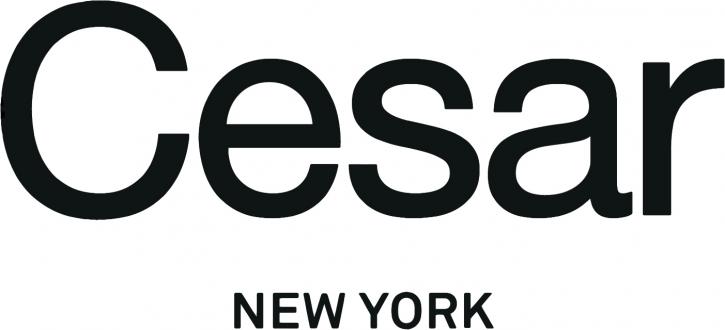 Image for Kitchen Remodeling New York | Cesar Kitchens with ID of: 1504748