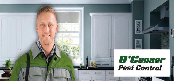 Image for O'Connor Pest Control Monterey with ID of: 1506624