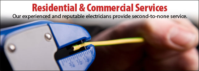 Image for Dunedin Electric with ID of: 1507667