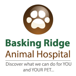 Image for Basking Ridge Animal Hospital with ID of: 1508004
