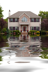 Image for Utah Flood Cleanup with ID of: 1509922